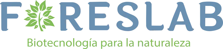 Foreslab Logo